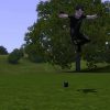 De Sims 3 Animation Player video