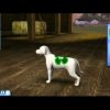 IGN over Creëer een Huisdier in De Sims 3 Beestenbende