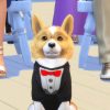 Herhaling Creëer-een-Huisdier live stream De Sims 4 Honden en Katten