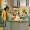Vanavond De Sims 4 Honden en Katten live stream over de dierenarts!