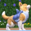 De Sims 4 Honden en Katten: Honden video